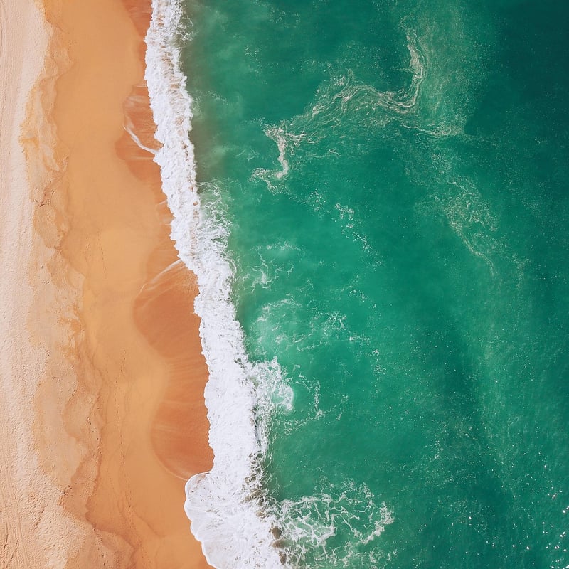 Mediterranean