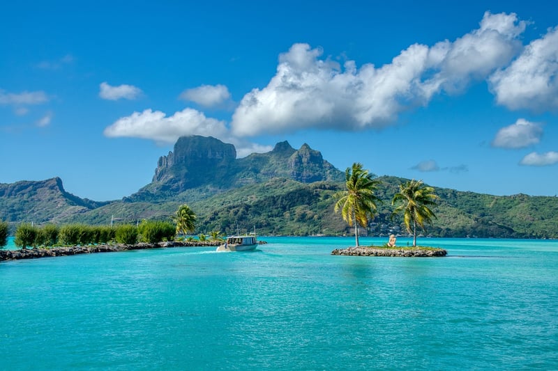 Tropical Landscape
